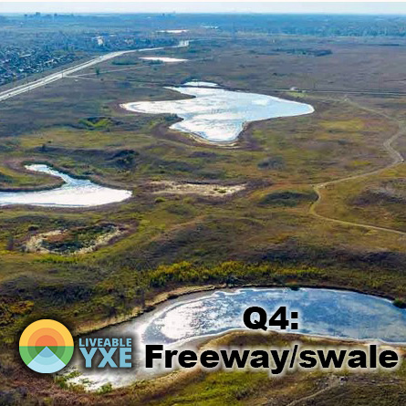 Q 4:
"The proposed freeway would put a multilane freeway through the Northeast and Small Swales, likely having a significant impact on what are agreed to be natural areas of outstanding biodiversity and abundance. Are you in favour of the project as proposed? Why or why not?"