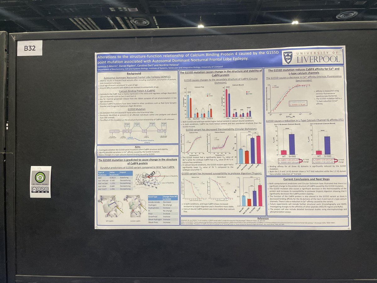 vanessastephx's tweet image. If you want to come see me at SfN and talk about calcium binding proteins and epilepsy then come say hello at poster B32 today! #sfn2024 #epilepsy #neuroscience