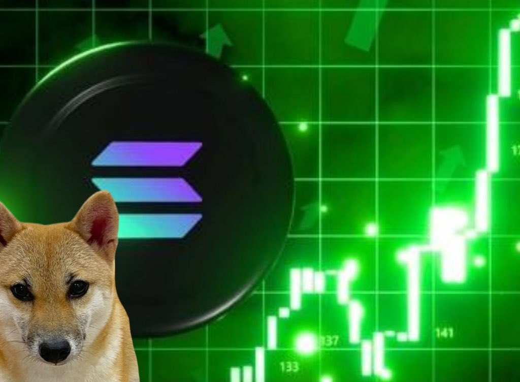 <a href="/nmstsol/">nmst (villain arc)</a> #Pochita is undervalued, simple as that 

E6AujzX54E1ZoPDFP2CyG3HHUVKygEkp6DRqig61pump