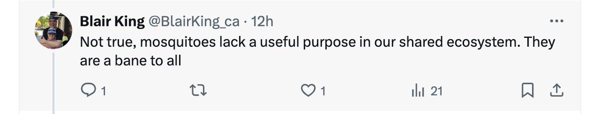 Iain Lawrence tweet media