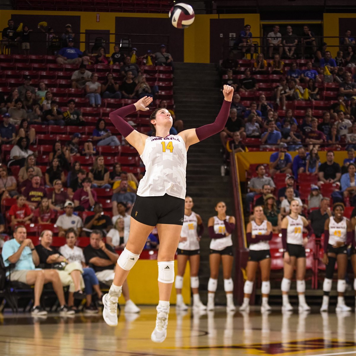 Sweep victory 🧹🧹🧹

Got our 10th sweep of the season 🤩

#ForksUp