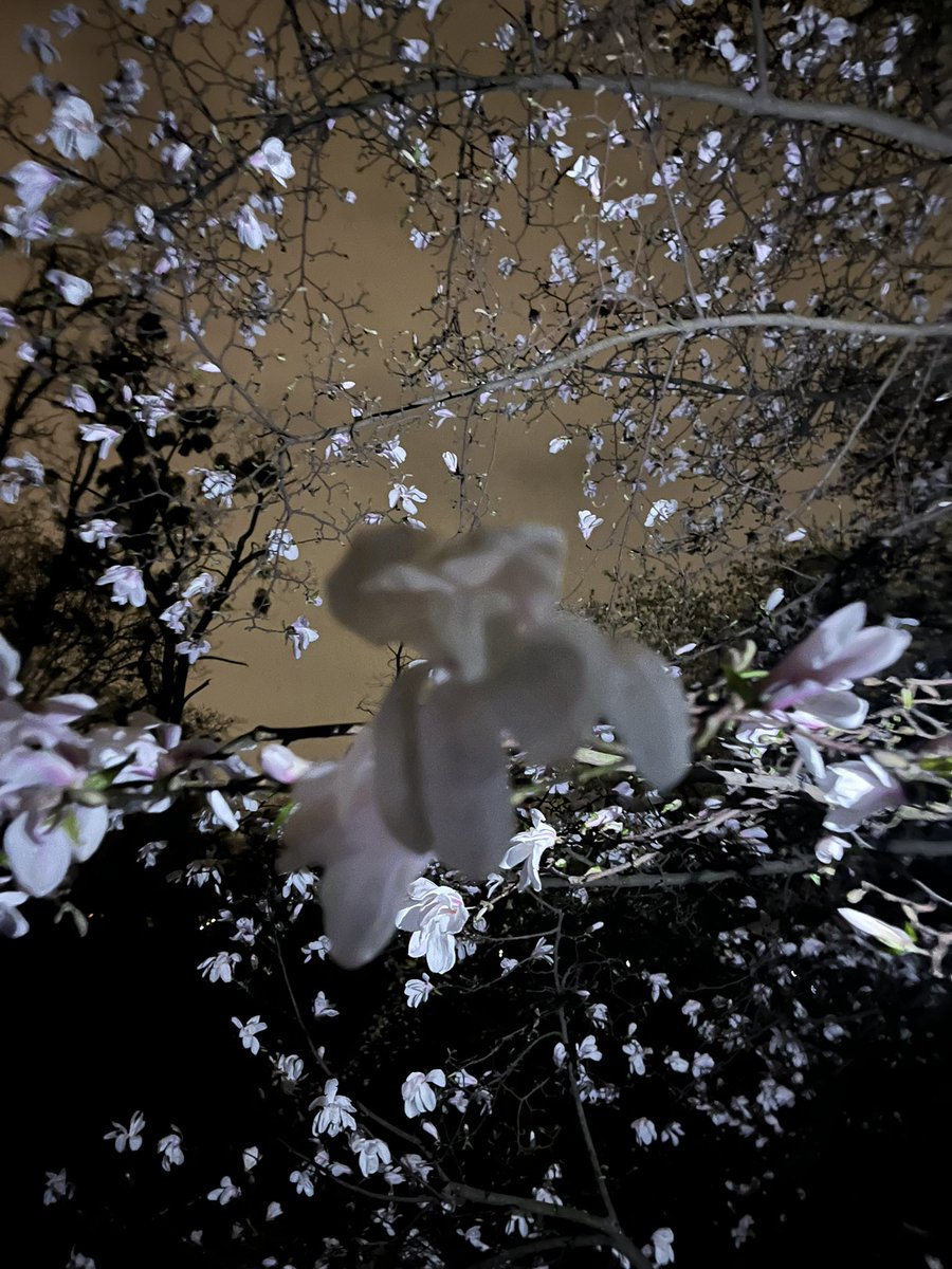 officesevenn's tweet image. 