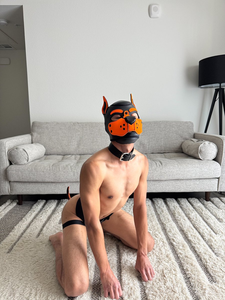 Pup Rawuu tweet media