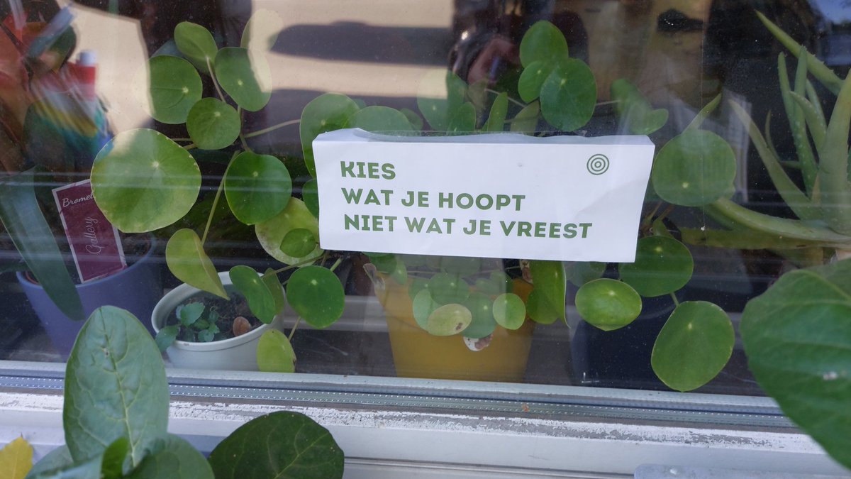 Wijze raamboodschap 
#Anderlecht