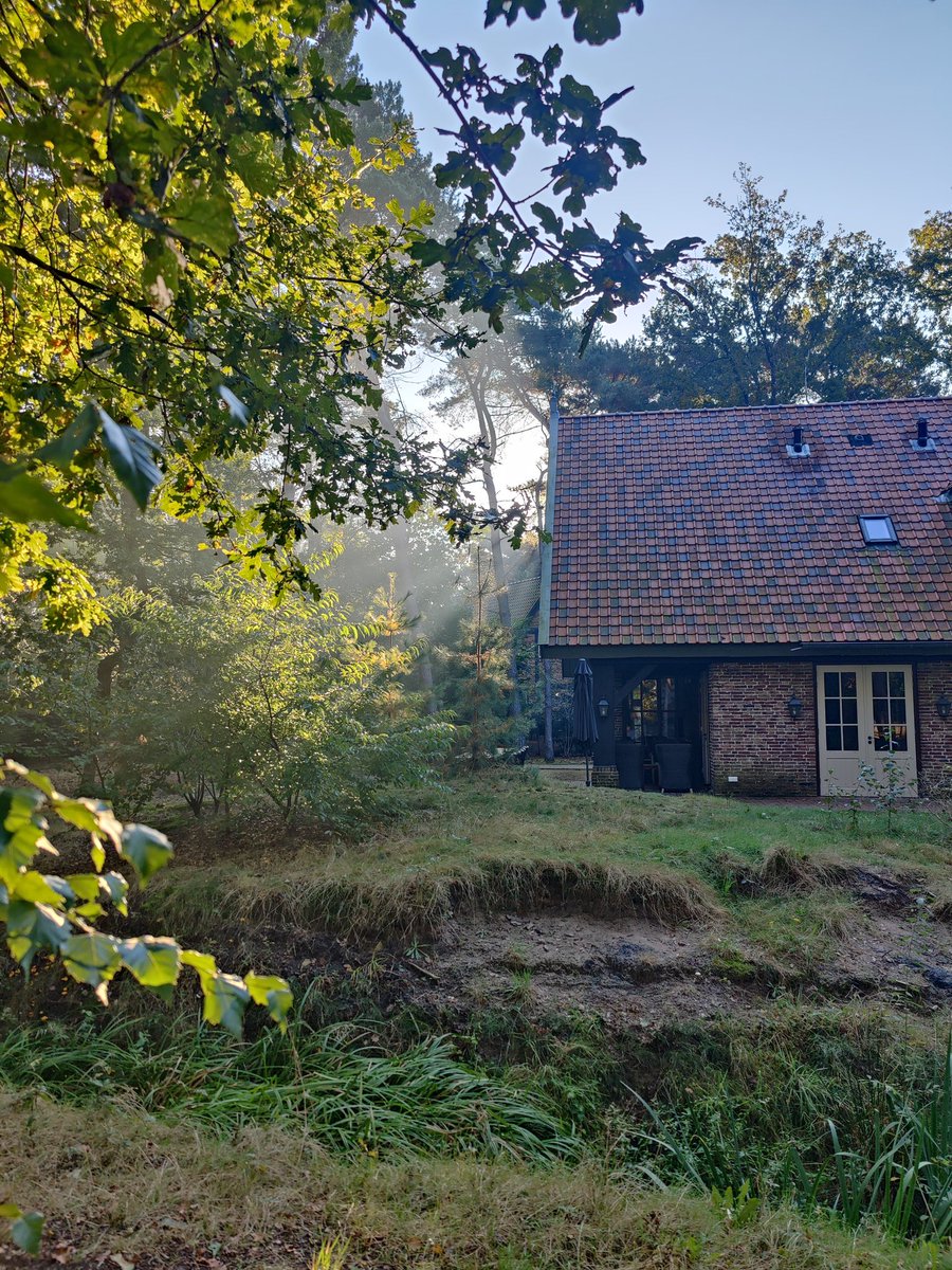 Magische ochtend in Bosrijk deze morgen ✨ #Efteling