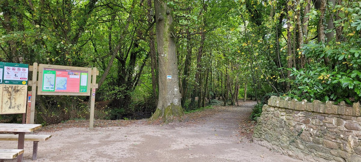Lovely start to the day with a  #woodlandwalk in  #cowexford,  #tinternabbey, before the  #stormyweather.