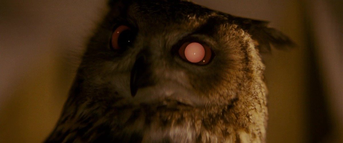 TheCinesthetic's tweet photo. blade runner (1982) https://t.co/qG6NtwvDrn