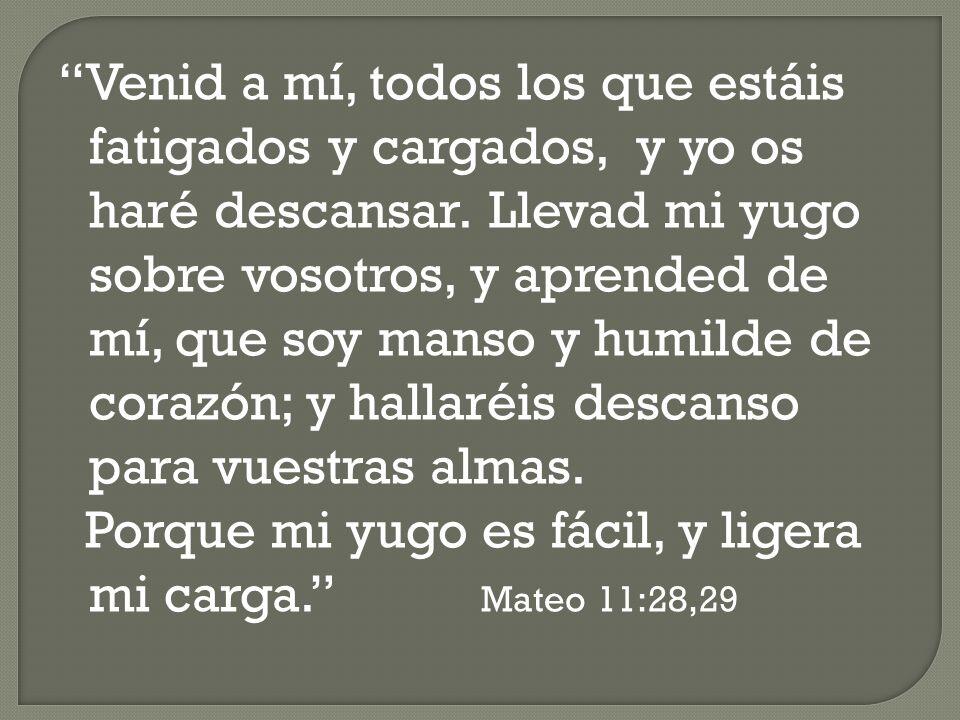 CristianoMundia's tweet photo. Jesús me recuerda esto: https://t.co/YAqWojCtFA