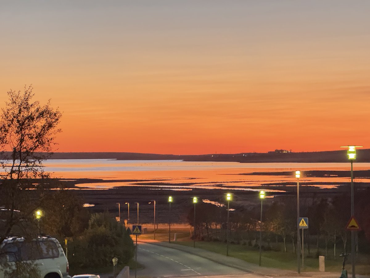 Twilight while walking the dog 🐕 #home #iceland #Twilight #iPhone16 #iPhone16ProMax