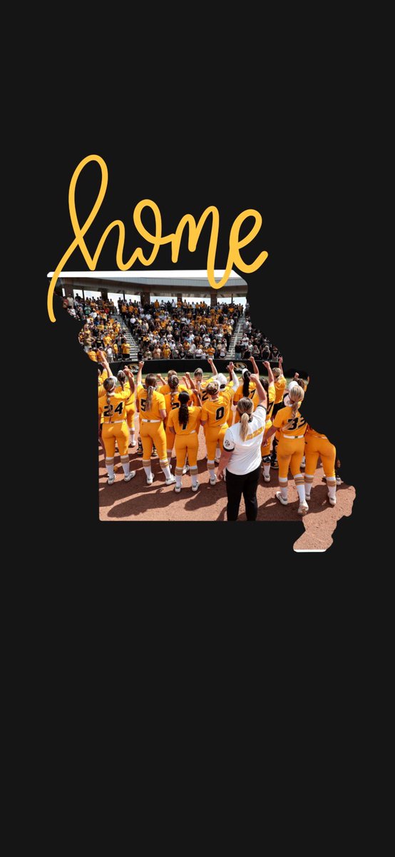 🚨🚨🐯🐯🚨🚨