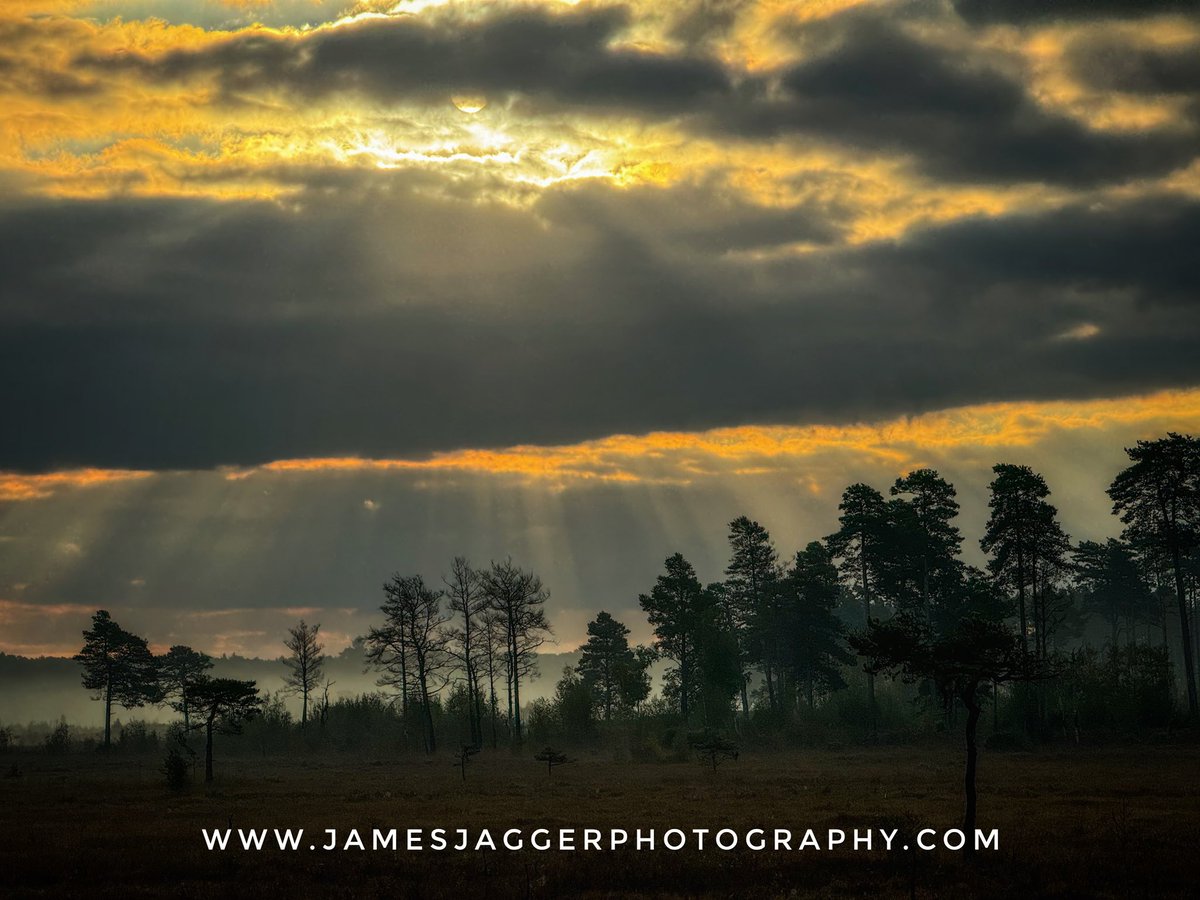 JamesOJagger's tweet photo. Well worth the early start this morning. Thursley Common at its finest. #jamesjaggerphotography #AlamyLiveNews #igerssurrey #jamesjagger #freelancephotographer #thursleycommon #sunrise https://t.co/aph97qm4S6