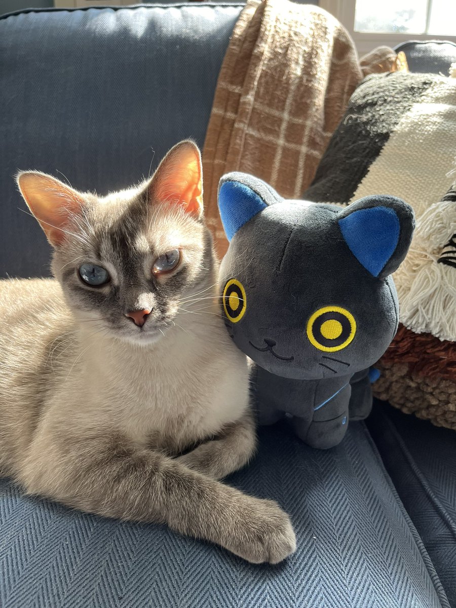 psviv's tweet photo. Hi @ArmstrongTaran  Chai and Robo Kellhus becoming Best Friends. 💙🐾🐾 https://t.co/r7C7ST87V8