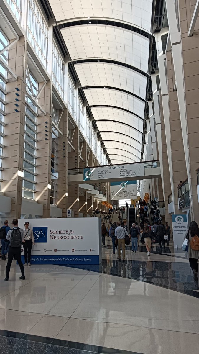 SaraXapelli's tweet photo. Thrilled to be back at #SfN24 with the support of #PANERIS project! This year with 2 talks and 1 poster. If you happen to be here, go check our work:

#HorizonEU #ResearchImpactEU #EUInnovation #EUresearch #lifesciences #neurosciences #FMUL
@EU_Commission; @REA_research https://t.co/ERVNyk1r8u