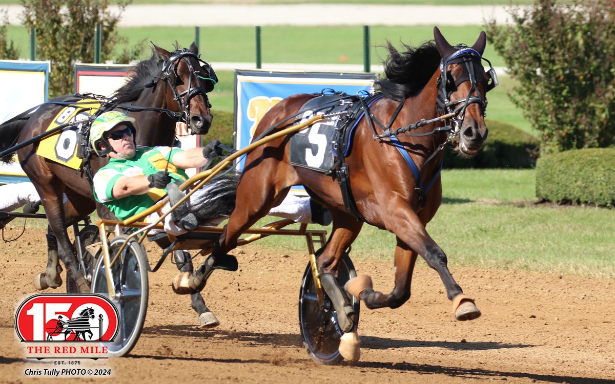 Red Mile Racetrack tweet media