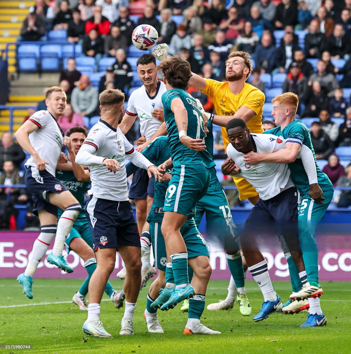 Toby Savin tweet media