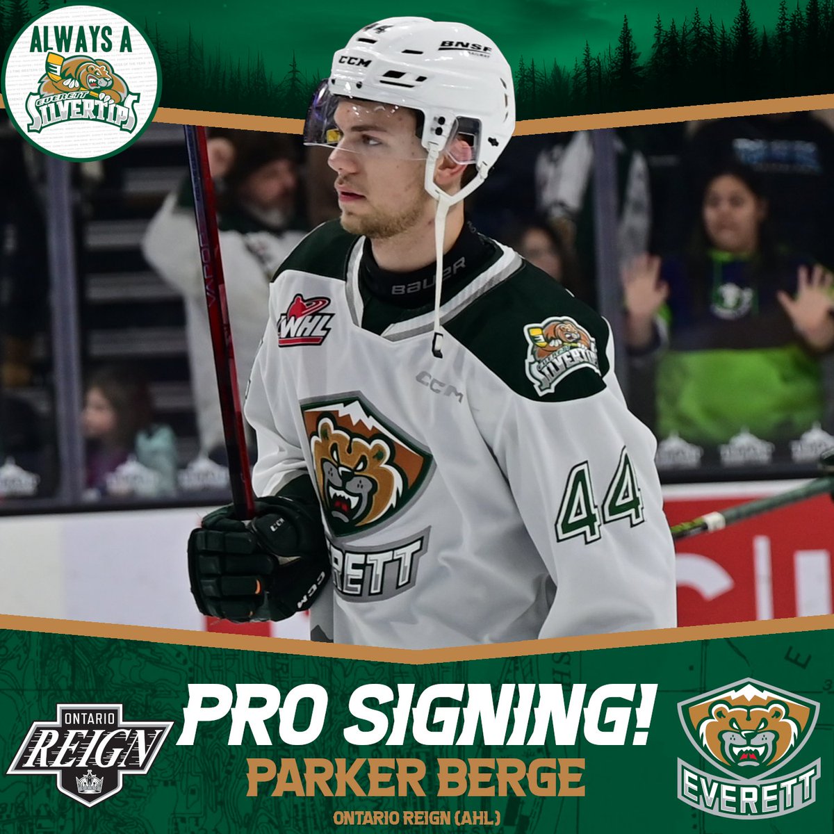 xyz - Everett Silvertips (@whlsilvertips) on Twitter photo BERGEY GOES PRO!
Parker Berge has signed an AHL deal with the <a href="/ontarioreign/">Ontario Reign</a>!
#AlwaysASilvertip BERGEY GOES PRO!
Parker Berge has signed an AHL deal with the <a href="/ontarioreign/">Ontario Reign</a>!
#AlwaysASilvertip