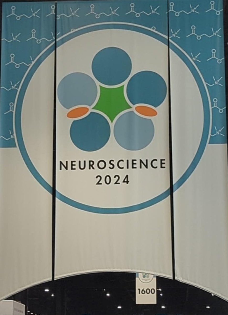 Excited to be at #SfN24 presenting a poster! 

Stop by to see me, Monday Oct 7 from 11a-12p at board B124!!
