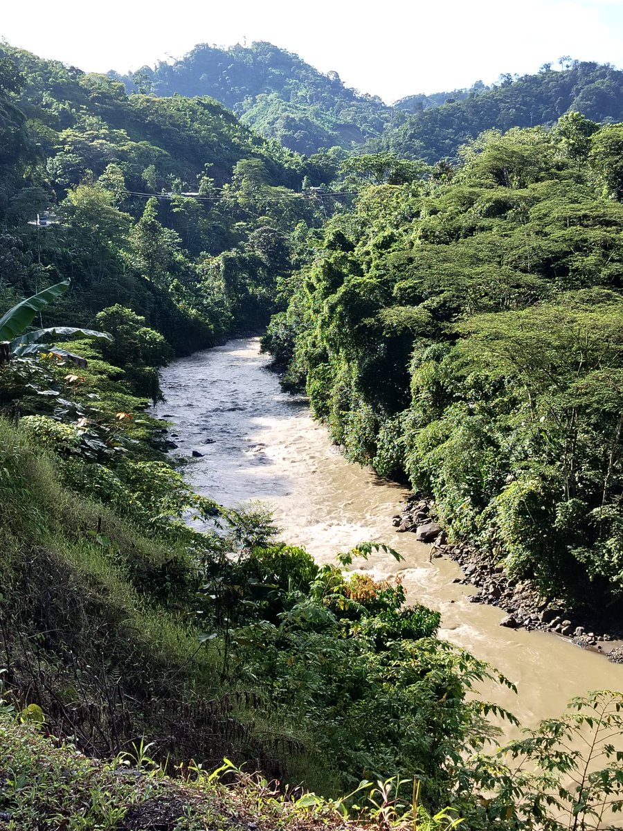 Quetzalquiaui's tweet photo. Llevo ya 5 días recorriendo sierra colombiana y en serio ha sido indescriptible de lo hermoso que está. Además, la gente ha sido bellísima con nosotros y nos ha recibido como familia. 🌟💖🌻 https://t.co/1ABLmTSRgE