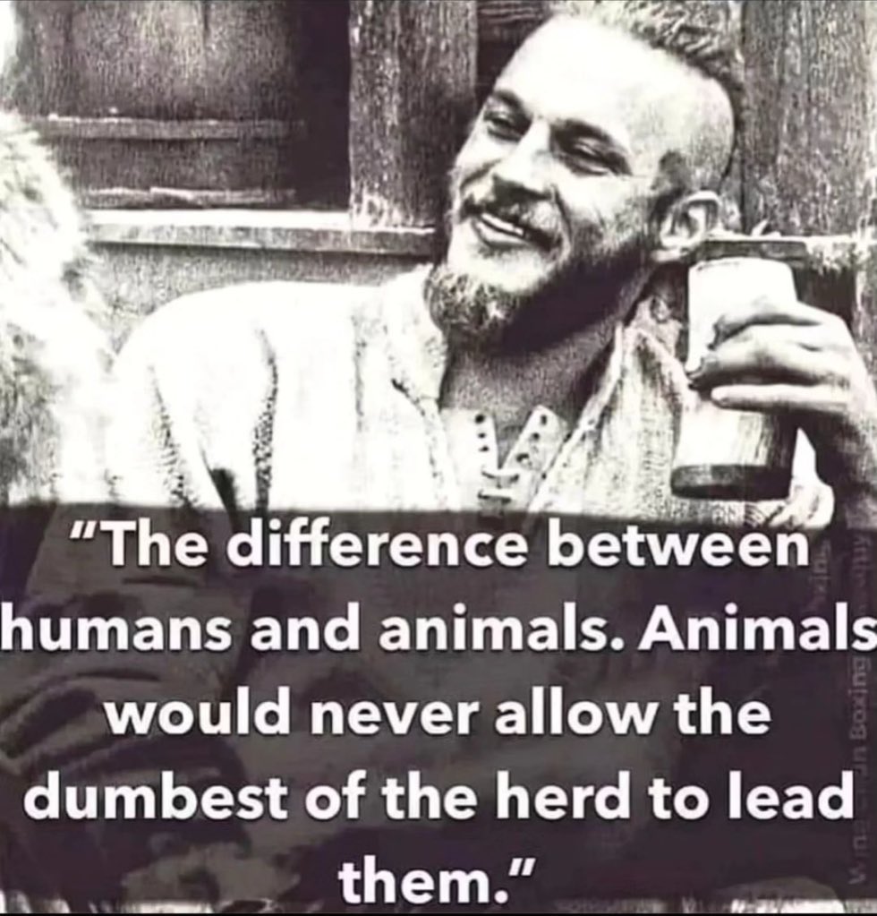 GigaBasedDad's tweet image. 👇