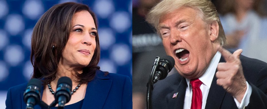 💙🌊 Zero Dark Twenty-Nine 🌊🌊🖋️🧫 tweet media