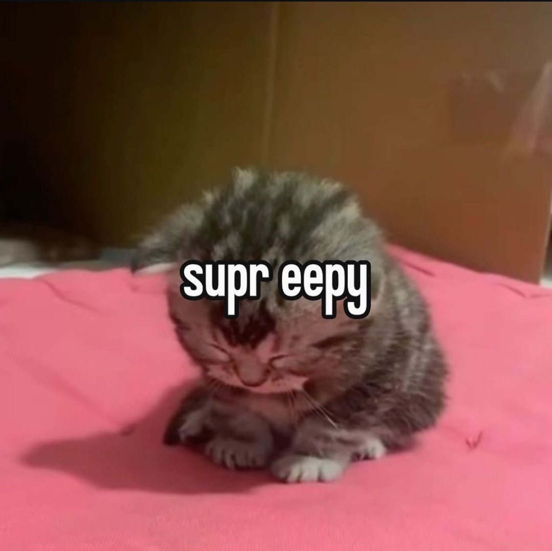 Catsillyness's tweet image. supr eepy