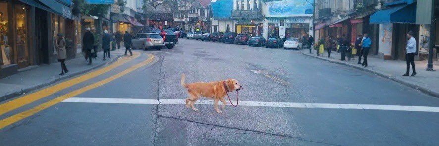 Nariyoigmi's tweet photo. @blknoiz06 Check out decentralised dog lol
#NOOWNER
7JyJyzq9mA1YmCitrDgujTtjLGECEh6ChwmWthbLpump https://t.co/RUKP7u4uu6