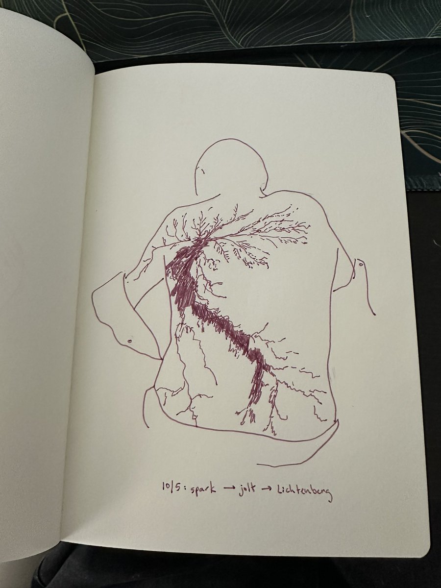 Connie Jiang tweet media