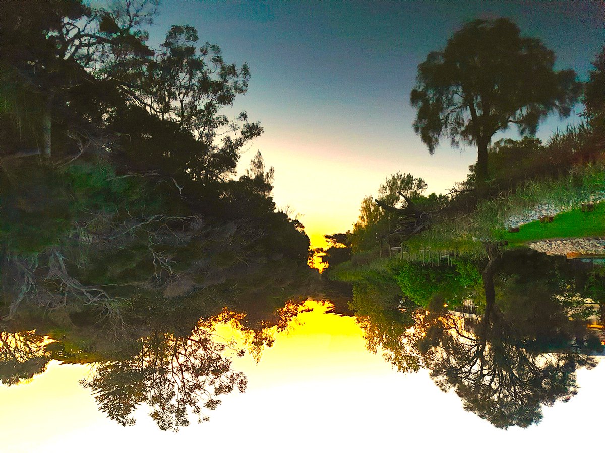 TonySowersby's tweet image. Mirrored creek.

#sunday #bunurongcountry #kananook