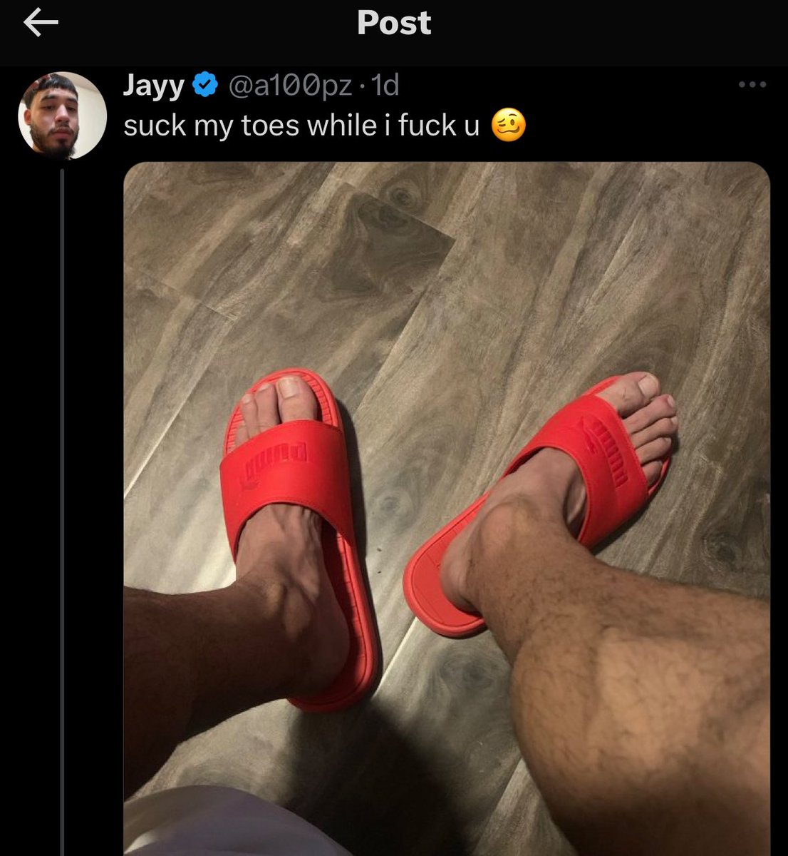 anfernyt tweet media