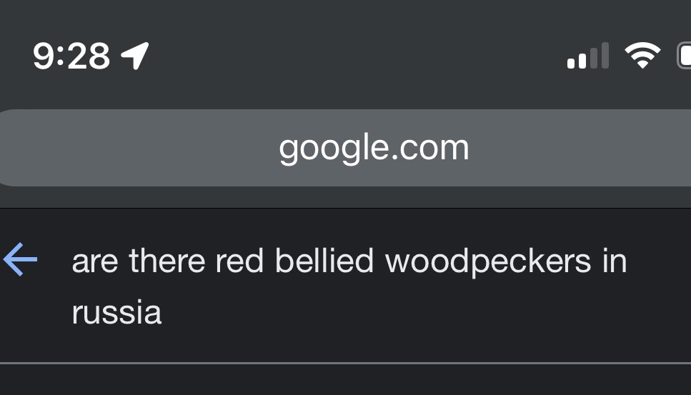 as soon as I hear bird calls in a tv show