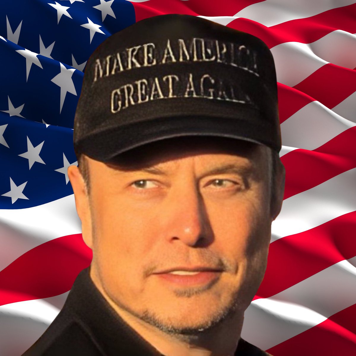 TrumpDailyPosts's tweet photo. Elon Musk @elonmusk just updated his photo to MAGA on X!🔥����🇺🇸🇺🇸 https://t.co/32HCVKtomP