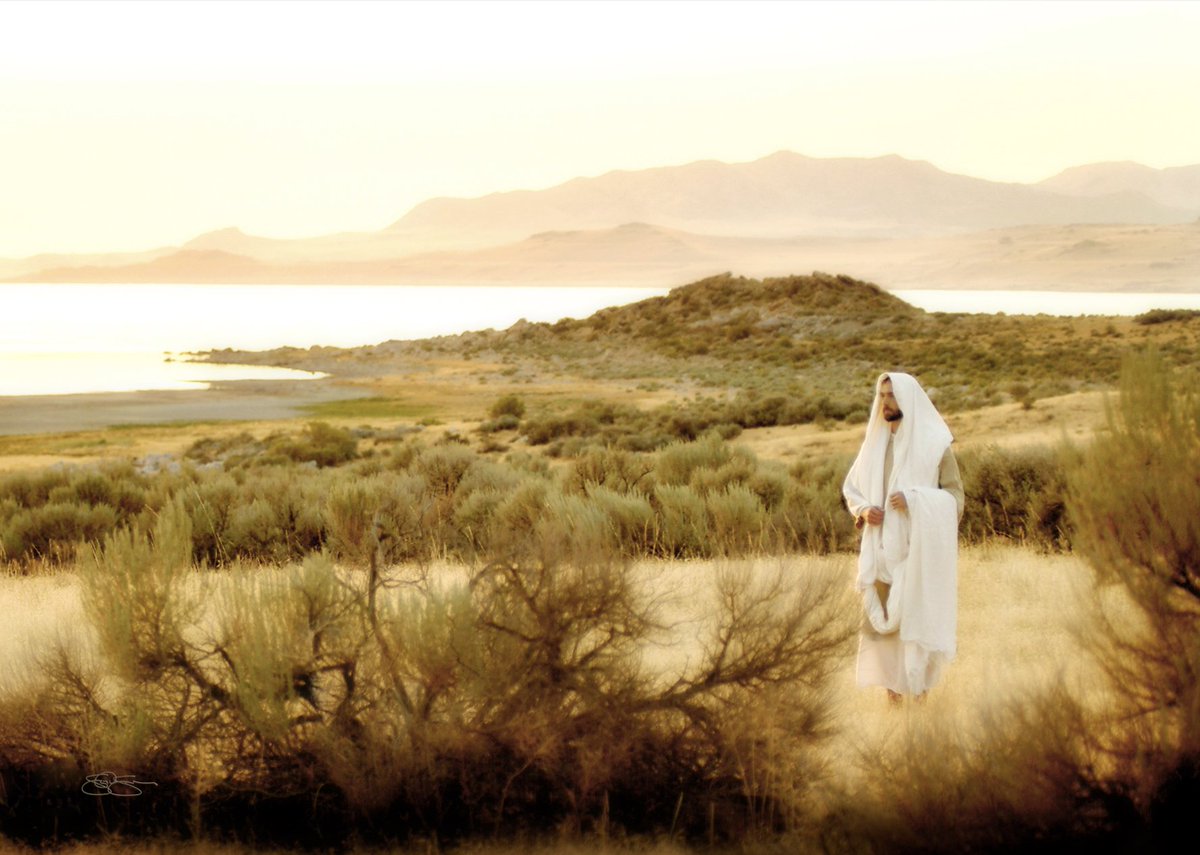 BednarDavidA's tweet image. The Book of Mormon is not primarily a historical record that looks to the past. Rather, this volume of scripture looks to the future and contains important principles, warnings, and lessons intended for the circumstances and challenges of our day. Hence, the Book of Mormon is a…