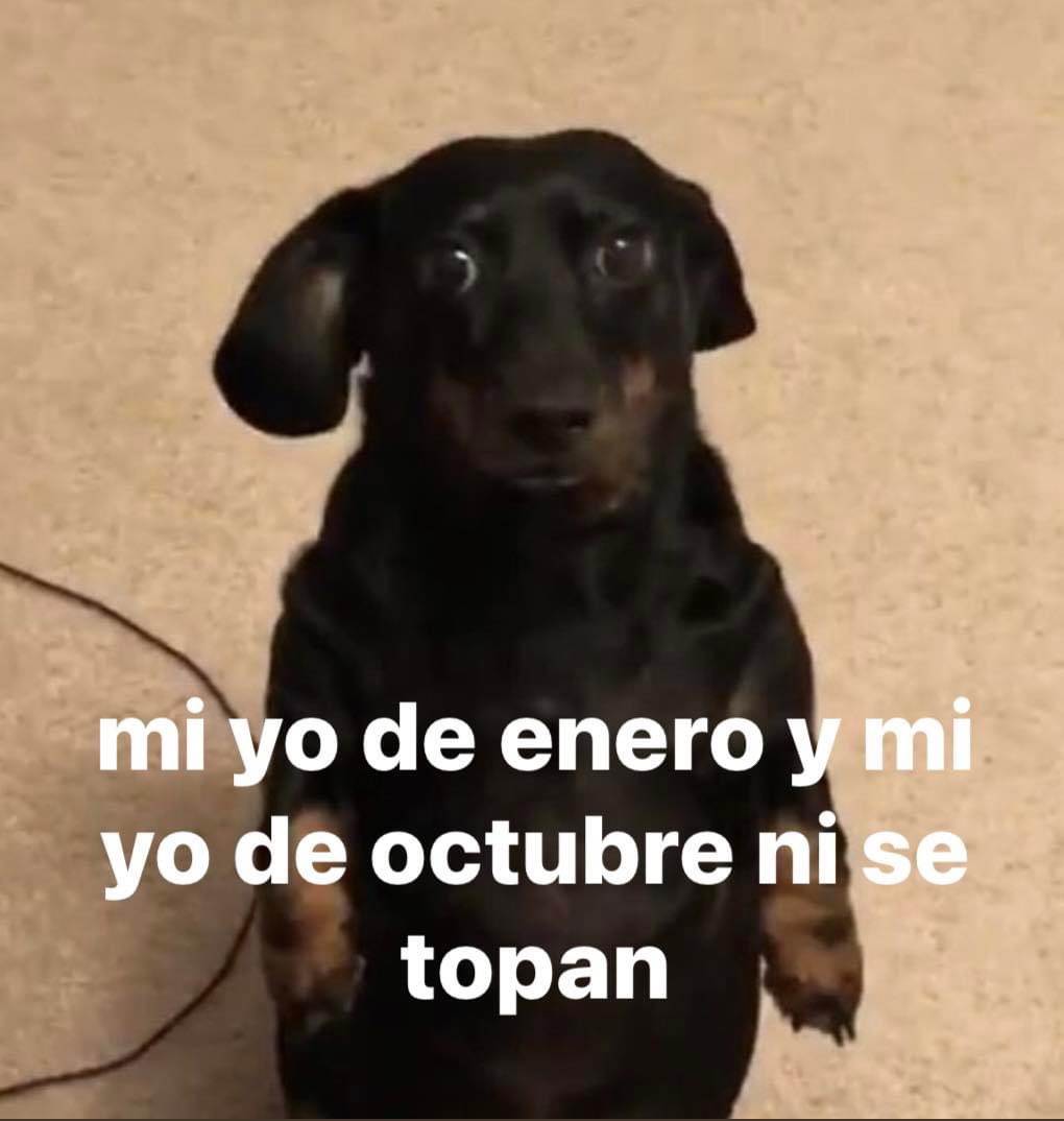 Salvador Iglesias Jr (@javisness) on Twitter photo 