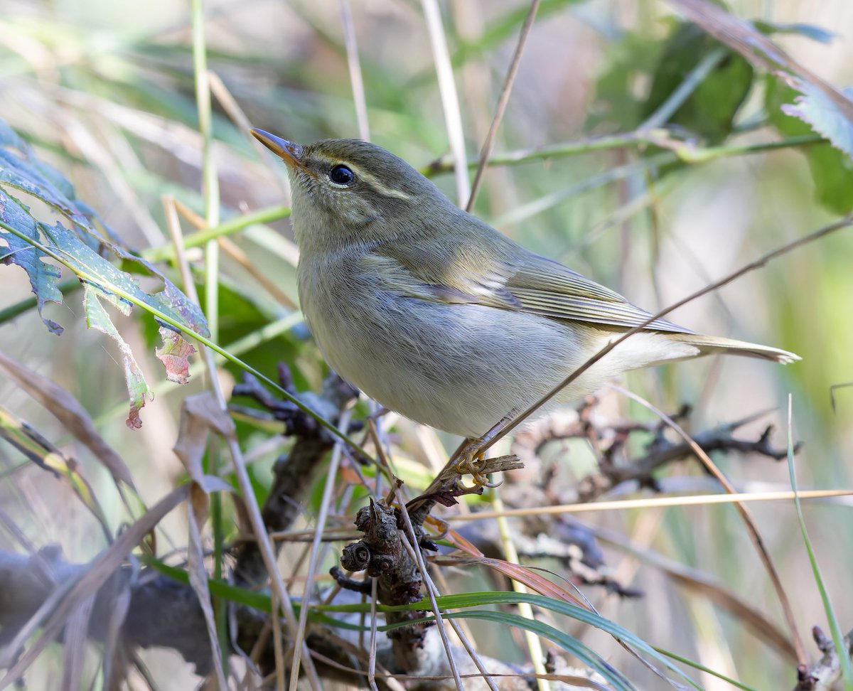 Lee Fuller tweet media