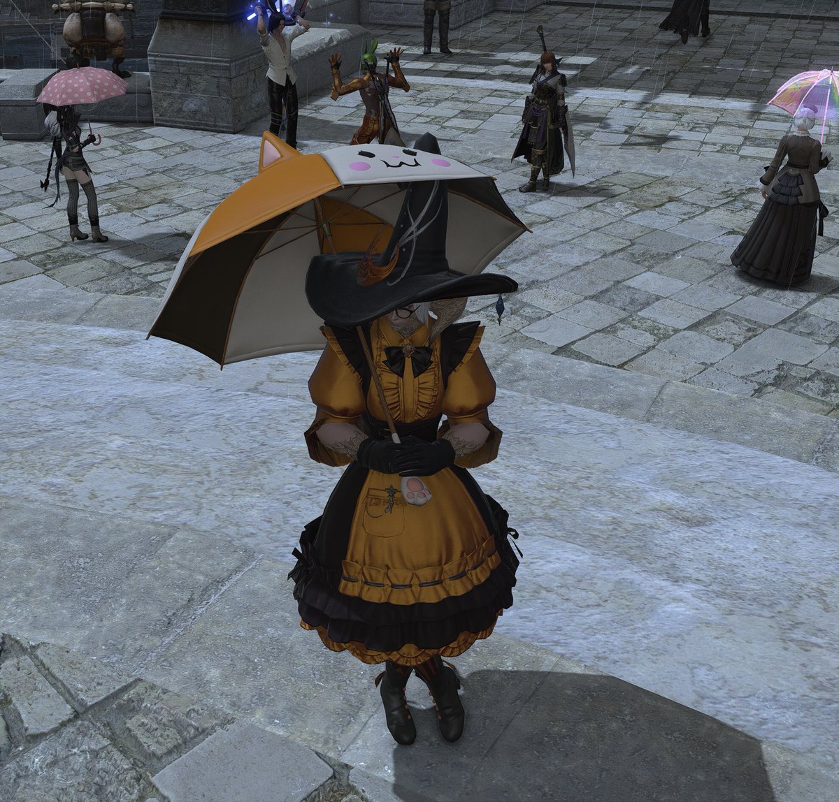 I like that the fat cat umbrella goes with my halloween outfit