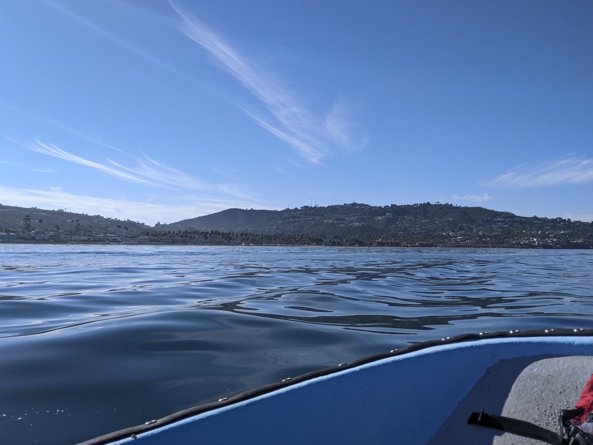 In October 2021 I helped with a long-term student-run ecosystem monitoring project in the La Jolla Zostera pacifica #eelgrass bed and cored the edge of the LJ canyon to estimate the lateral fluxes of #bluecarbon from seagrass and kelp beds to the nearby seafloor.  <a href="/Scripps_Ocean/">Scripps Institution of Oceanography</a>