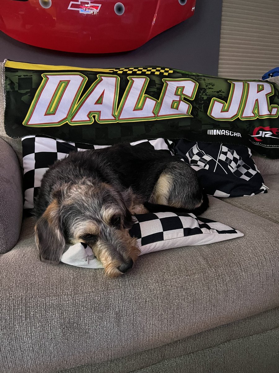 MJKucera's tweet photo. @DirtyMoMedia @AndrewKurlandTV @ToddGilliland_ @Team_FRM Dale Jr! https://t.co/2zVFxO7CBV