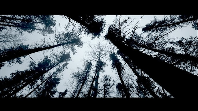 javierfrancomx's tweet photo. The Revenant (2015) - Alejandro G. Iñárritu. Filmada en locaciones naturales con luz natural, las vastas tierras nevadas y la brutalidad de la naturaleza cobran vida. https://t.co/1DbFlwbZay
