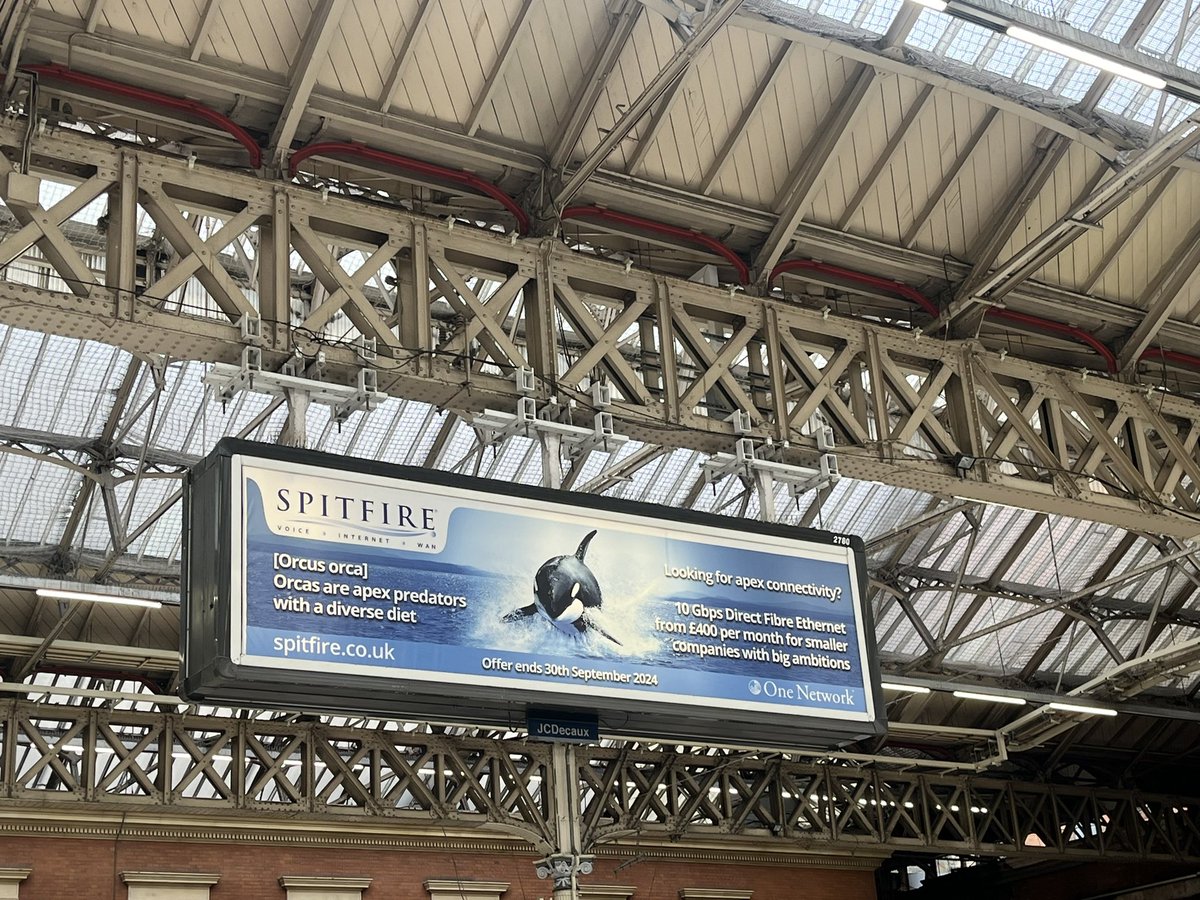The most hilarious advert using the word “Apex” with Orcas and connectivity at Victoria station, London. #advert
