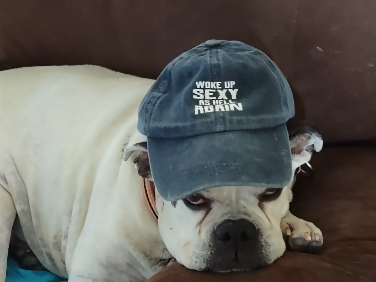 iris62's tweet image. Ever feel like this?