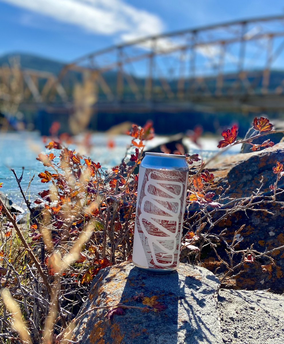 snakelakebrewco's tweet photo. Autumn leaves pair well with Amber beerπΊππ
Marina Red Ale is balanced and easy drinking, brewed with Simpsons Crystal and Chocolate Rye Malts.
.
.
.
#workharddrinkeasy #snakelakebrewing #beer #craftbeer #sylvanlake #alberta #drinklocal #albertabeer #redale #amberale #centralab https://t.co/DBRqqGziHy