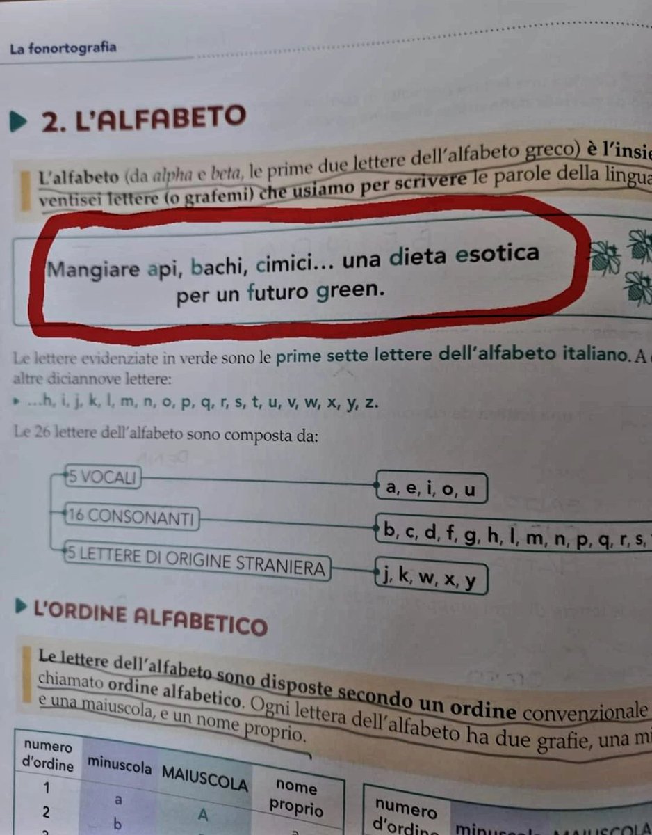 LIntollerante tweet media