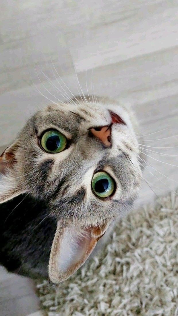 Blackdarling7's tweet photo. @papasit000 https://t.co/fug3napm0M