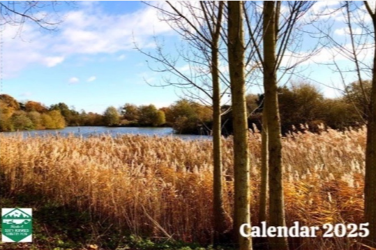 CrikeyIt'sCroydon tweet media