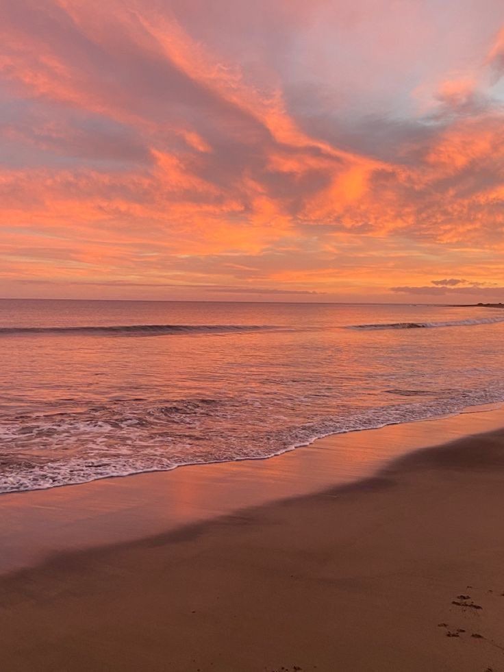 Aesthetics (@aestheticspost_) on Twitter photo 