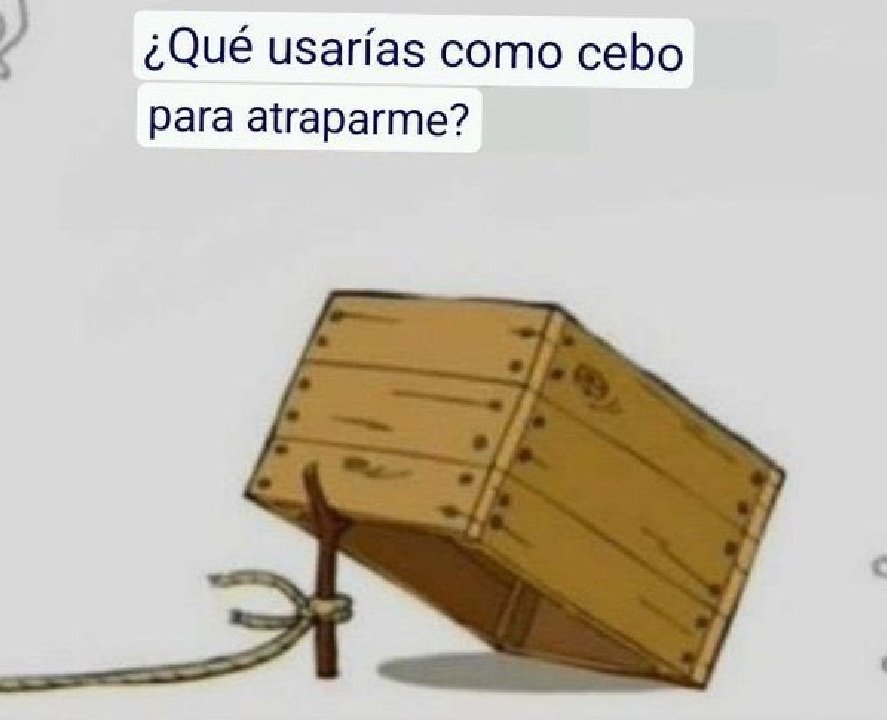 Tu_tinkaton's tweet photo. Dulzuras ya es hora de irme hacia un evento de mi sobrina, les dejare esta actividas oki? Nos vemos y los amo^^ https://t.co/IMCuhLYUQJ