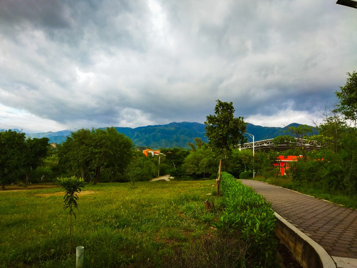 Lorena Omega tweet media