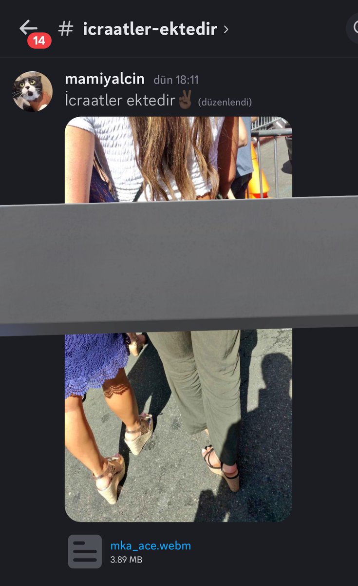 Discord çeteleri sokaktan geçen kızların bel altı fotoğraflarını çekerek açtıkları gruplarda icraat adı altında paylaşıyorlar. Bu şerefsizlerin kökünü kurutup ibreti alem yapmak lazım ki bu tarz ruh hastaları bir daha bu tür şeyler yapacak cesareti bulamasınlar.