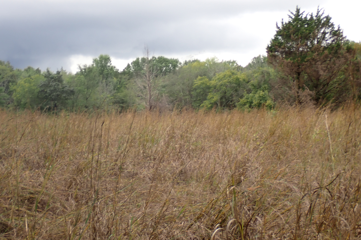 John LaRoe tweet media