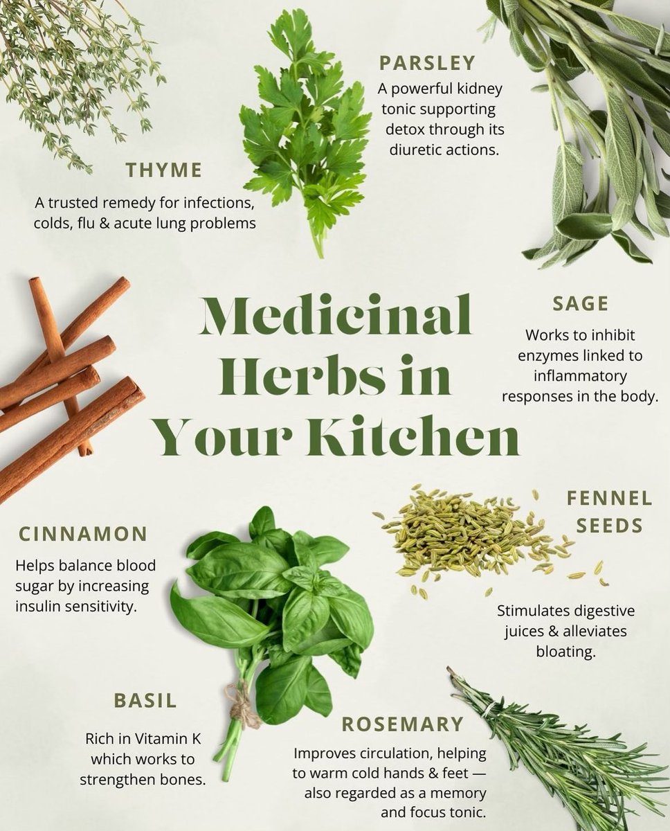Kitchen Medicine👇🏽